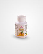 Grade 2 & 3 Fatty Liver Recovery Solution